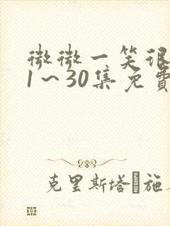 微微一笑很倾城1～30集免费观看