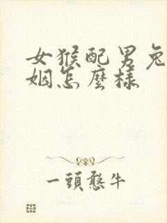 女猴配男兔的婚姻怎么样