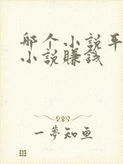 哪个小说平台写小说赚钱封面