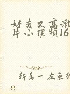 好爽又高潮了毛片小视频16