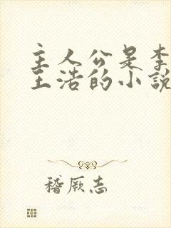 主人公是李洁 王浩的小说