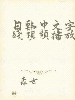 日韩中文字幕在线视频播放封面