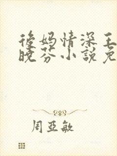 后妈情深王磊杨晓芬小说免费封面