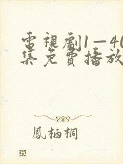 电视剧1—40集免费播放