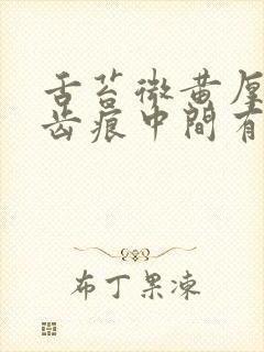 舌苔微黄厚腻有齿痕中间有裂纹