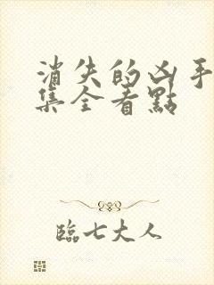 消失的凶手16集全看点