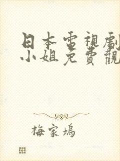 日本电视剧空中小姐免费观看