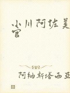 小川阿佐美搜查官封面