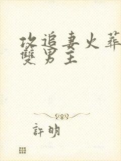 攻追妻火葬场的双男主