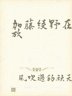 加藤绫野在线播放