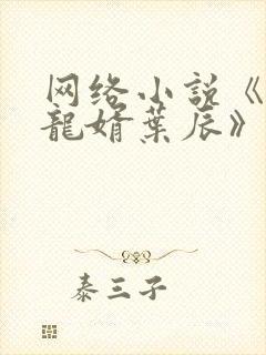 网络小说《上门龙婿叶辰》