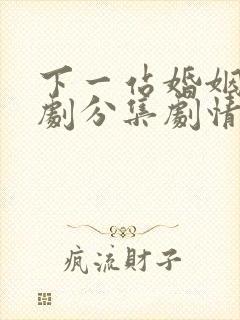 下一站婚姻电视剧分集剧情