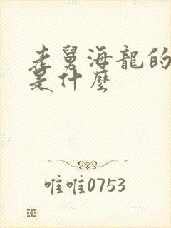 老舅海龙的结局是什么