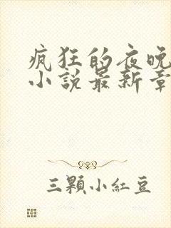 疯狂的夜晚苏柔小说最新章节