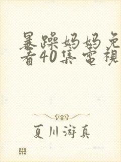 暴躁妈妈免费观看40集电视剧