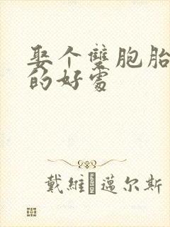 娶个双胞胎老婆的好处