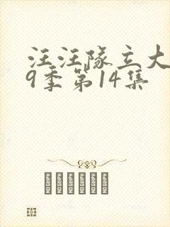 汪汪队立大功第9季第14集