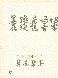 暴躁老妈48集在线观看电视剧