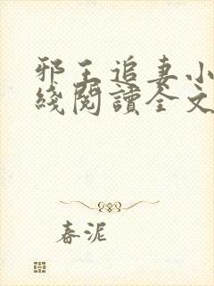 邪王追妻小说在线阅读全文封面