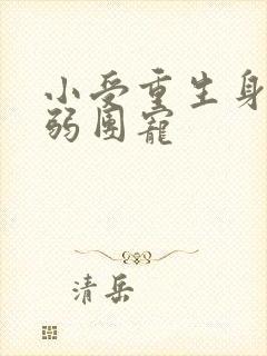 小受重生身体病弱团宠