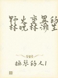 野火变异的父爱林晚林潮生