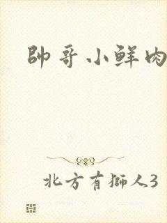 帅哥小鲜肉互操