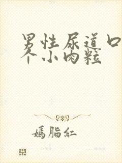 男性尿道口上长个小肉粒