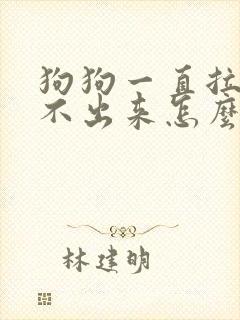 狗狗一直拉尿拉不出来怎么办封面