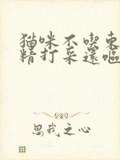 猫咪不吃东西无精打采还呕吐怎么办封面