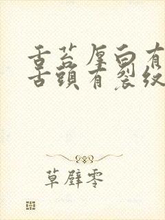 舌苔厚白有齿痕舌头有裂纹