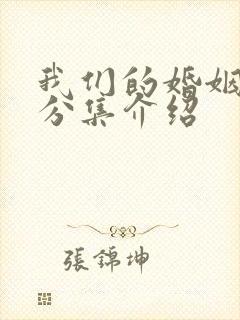 我们的婚姻剧情分集介绍