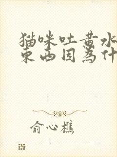 猫咪吐黄水不吃东西因为什么