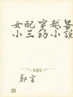 女配穿越各个做小三的小说