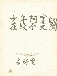 少年阿宾txt在线全文阅读封面