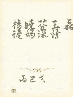杨晓芬王磊小说后妈深情