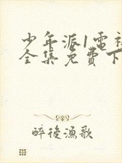 少年派1电视剧全集免费下载