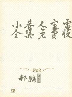 小巷人家电视剧全集免费收看