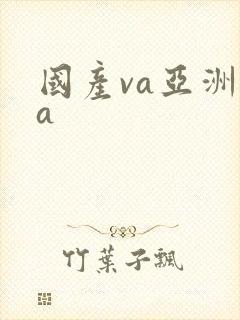 国产va亚洲va封面