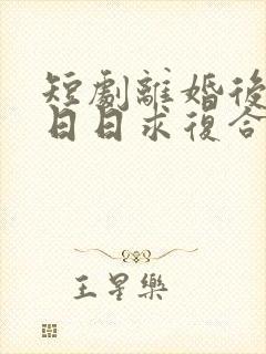 短剧离婚后前夫日日求复合免费观看