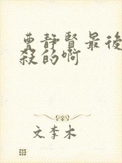 曹静贤最后被谁杀的啊封面