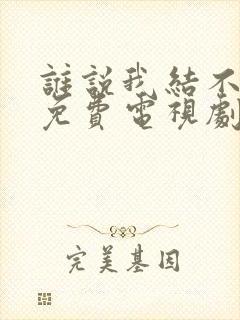 谁说我结不了婚免费电视剧封面