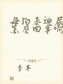 母狗泰迪尿血是怎么回事啊