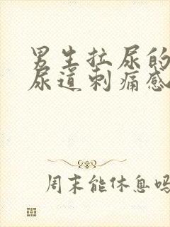 男生拉尿的时候尿道刺痛感