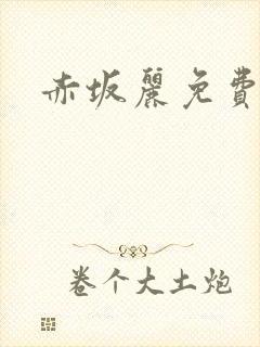 赤坂丽免费播放