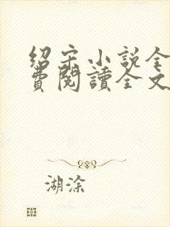 绍宋小说全文免费阅读全文