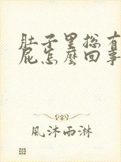 肚子里总有气放屁怎么回事