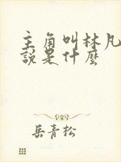 主角叫林凡的小说是什么