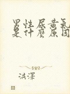 男性尿黄气味大是什么原因引起的封面