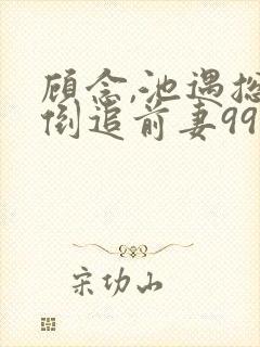 顾念,池遇总裁倒追前妻99次