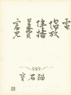 完美伴侣电视剧免费播放封面